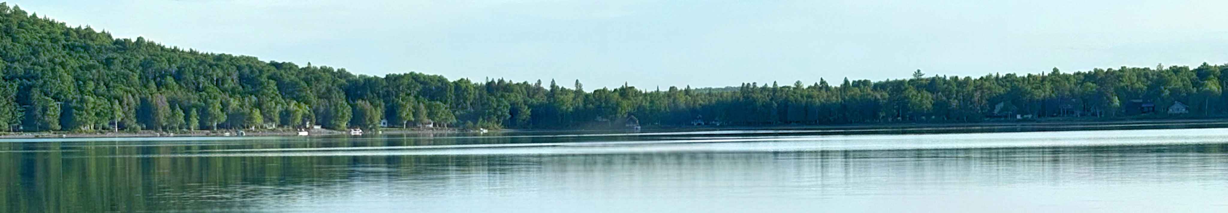 TREE TOP LAKE FRONT COTTAGE